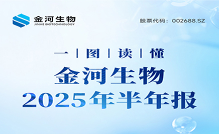 一图读懂：金河生物2025年半年度报告
